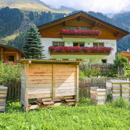 Fassnauerhof Ridnaun Lägenhet Ratschings Exteriör bild